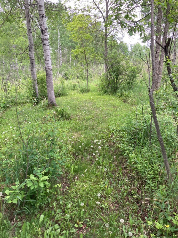 Rare 20th Side Road lot, over 21 Acres + 624 feet frontage Land for