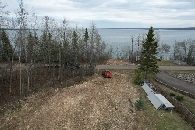 Mulching & Land Clearing62864743044611124