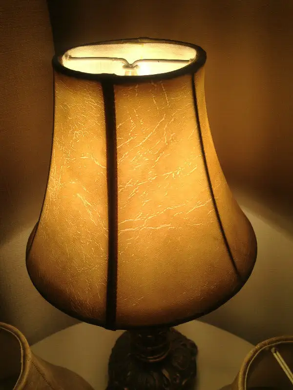 4 Small Faux Leather Lamp/Chandelier Shades+1 Small Black Silk in Indoor Lighting & Fans in Mississauga / Peel Region - Image 10