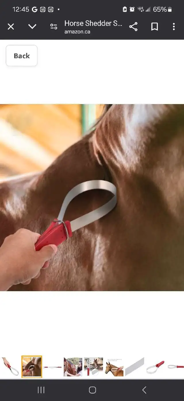 Horse shedder tool new  in Horses & Ponies for Rehoming in City of Toronto - Image 2