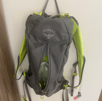 Osprey Backpack 