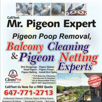 PIGEON POOP REMOVAL, BALCONY CLEANING & NETTING - STARTING @ $45