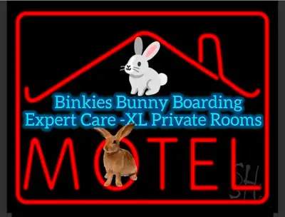 Rabbit Boarding. 40 Years Experience XL Fully Private Rooms -AC, View more