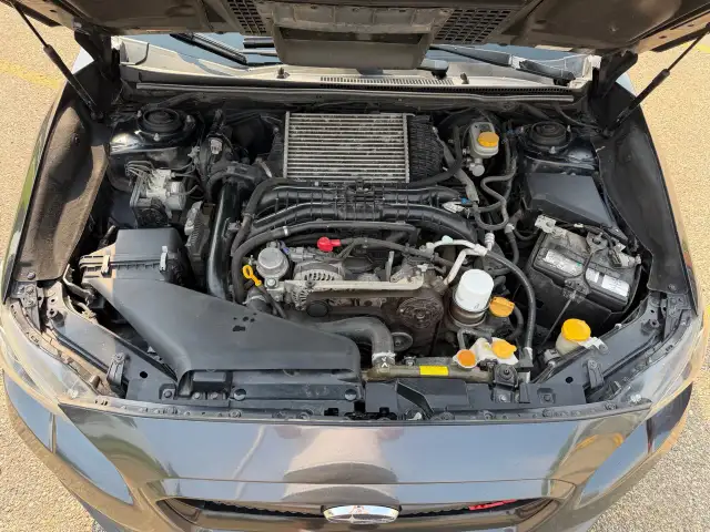 2017 Subaru WRX558375870127165444
