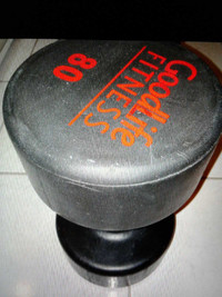80 pounds single urethane coated dumbbell for $90