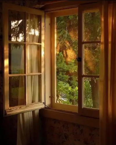 Holistic Roots- Healing Hands Massage , View more