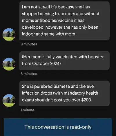 Looking for Cody who is getting rid of a kitten The messages are read only because you deleted the a...