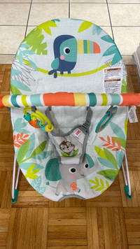 Bright Starts Baby Bouncer . Missing music and vibrations part. 