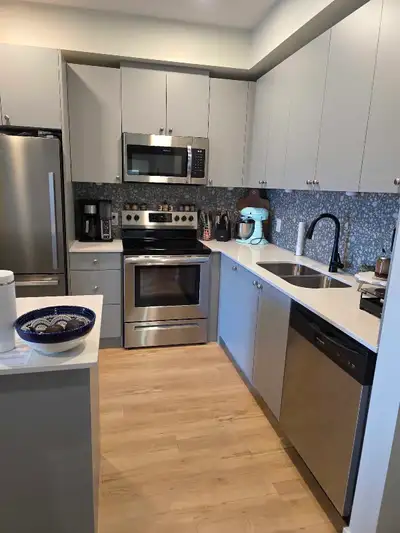 looking for cash jobs cleaning houses , View more