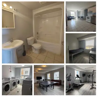 1 Bed 2 Baths - Apartment 325 Spruce St, Waterloo, ON N2L 3M6, Canada SUMMER SUBLET / LEASE TAKEOVER...