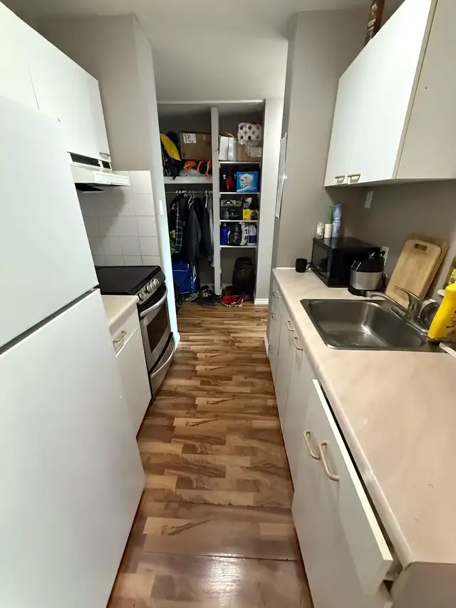 cleaning 63235315652225123