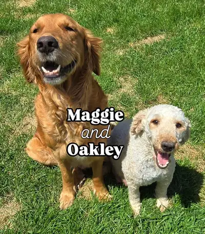 Maggie and Oakley have spent their entire lives with a loving family as part of our Guardian Program...
