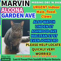MARVIN IS MISSING IN ALCONA