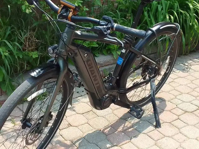 Giant Ebike with pedal assist62863263540994121