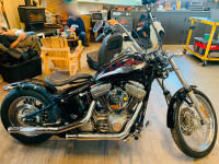 2003 Harley Davidson Softail Standard - FXST