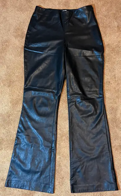 Aritzia Leather Pants, View more