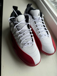 Air Jordan 12 golf shoes 