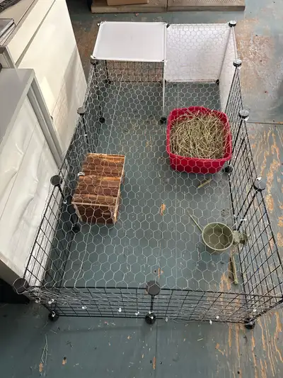 Accessoires complet pour lapin, View more