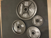 FS Olympic Weights