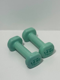 Dumbbells 2,2 Lbs (1 kg)