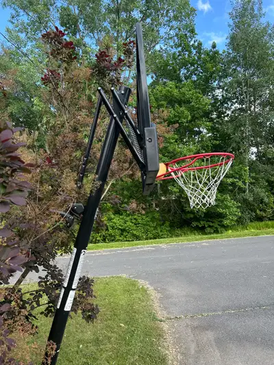 Panier Basketball, View more