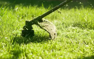 Lawn Maintenance Crew, View more