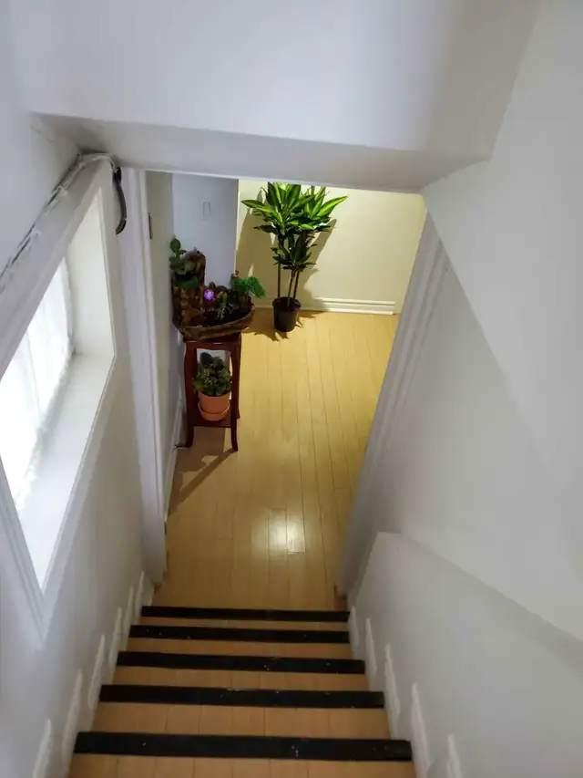Room for rent in Room Rentals & Roommates in City of Toronto - Image 2