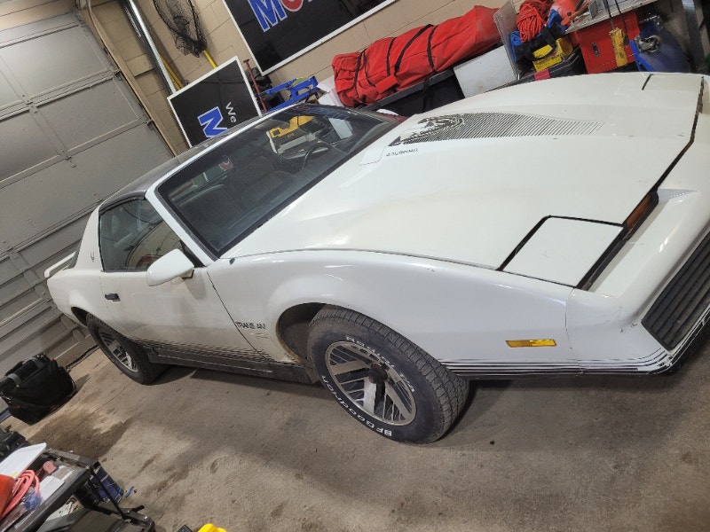 1984 trans am Classic Cars Saskatoon Kijiji