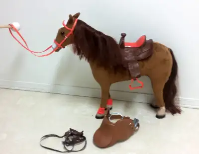 Horse with two bridles, two saddles, View more