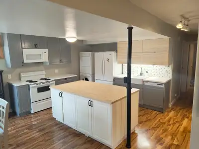 Furnished Basement