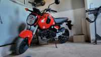  2023 GROM for sale. 