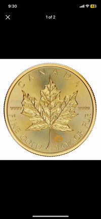2024 1 oz Pure Gold Maple Leaf Coin  - Monnaie Piece Or 