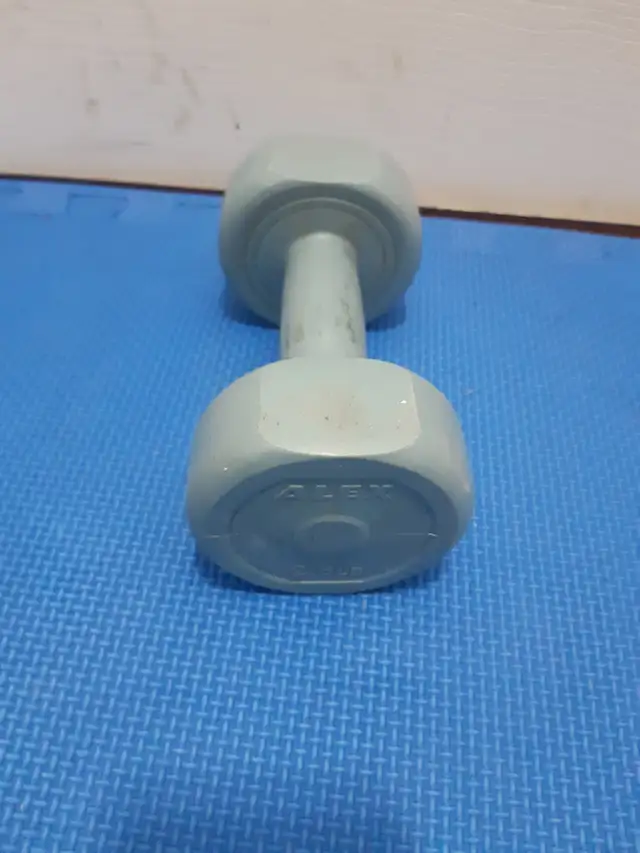 dumbbells in Exercise Equipment in Delta/Surrey/Langley - Image 10