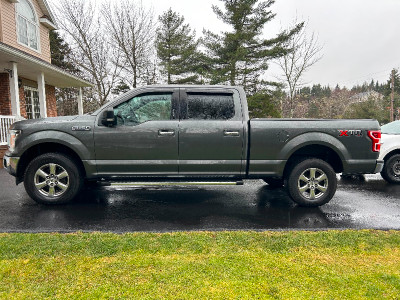 Immaculate 2019 F150- Low kms