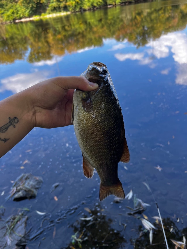Fishing Canoes, Kayaks & Paddles Ottawa Kijiji