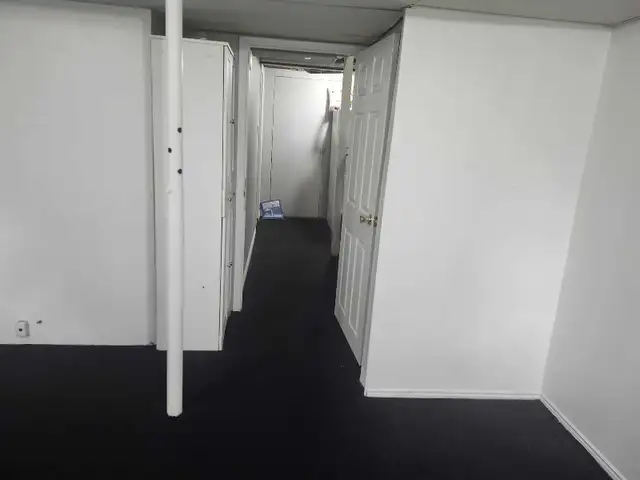 Working female only.  Large room in Basement for Rent in Room Rentals & Roommates in Ottawa - Image 7