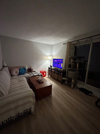 ISO Roommate for 2 Bed Apartment