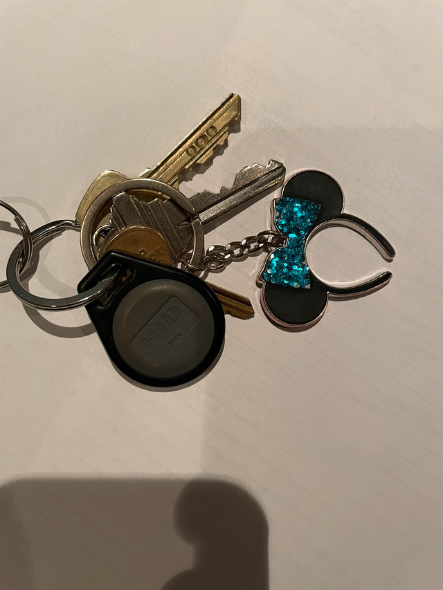 Keys were found at 1st street near Sunterra Market in Lost & Found in Calgary