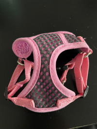 Xxxs dog harness