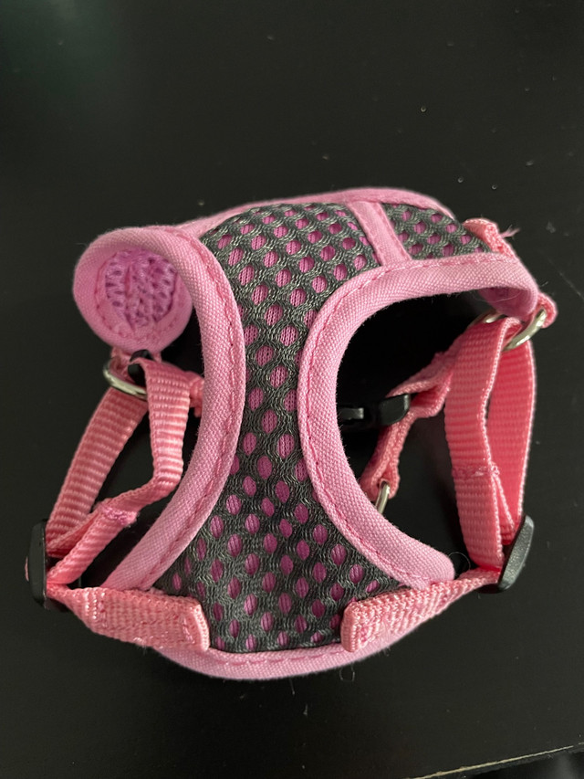 Xxxs dog harness in Accessories in Trenton