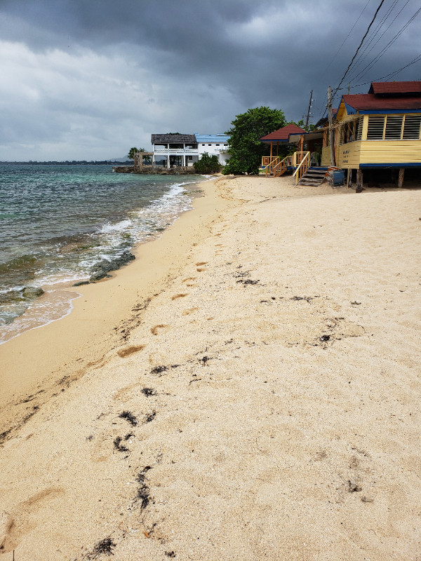 Vacation Rental, Negril, Jamaica in Jamaica