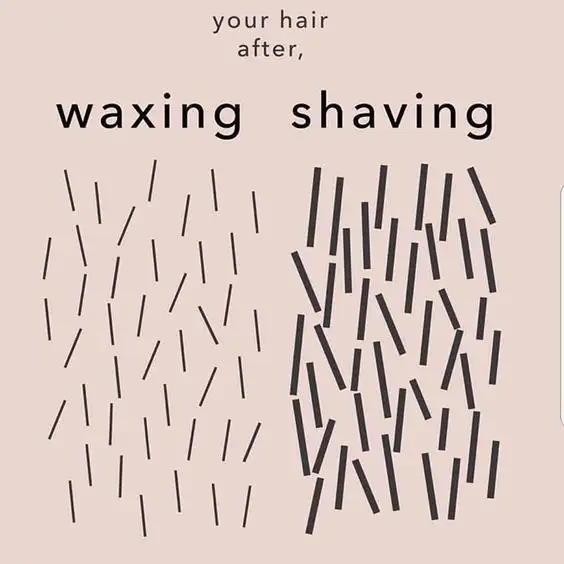 Manzilian Waxing for Men | Experienced & Welcoming Esthetician in Health and Beauty Services in Ottawa - Image 9