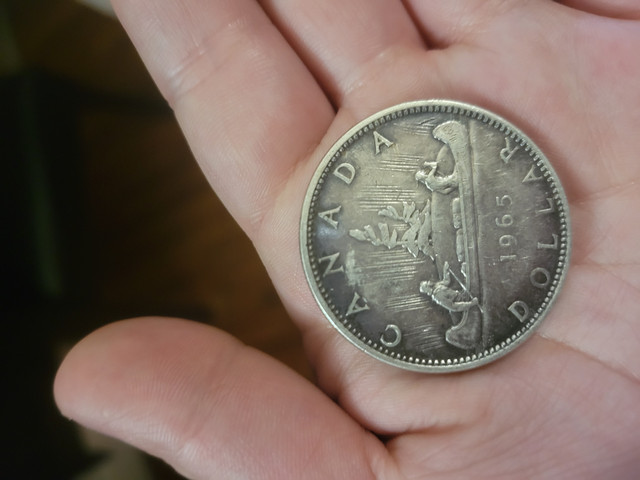 Canadian dollar 1965 in Arts & Collectibles in Sarnia