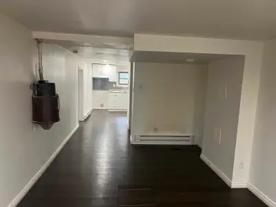 1 and half basement lasalle