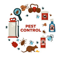 Pest Control and elimination Mice Bedbug Cockroach Bird all pest