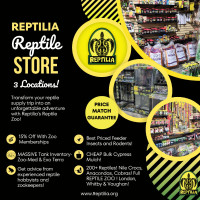 Best Priced Feeders! Reptilia London, Whitby and Vaughan!