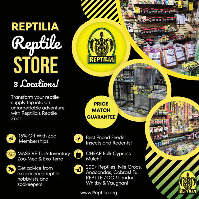 Best Priced Feeders! Reptilia London, Whitby and Vaughan! in Reptiles & Amphibians for Rehoming in Oshawa / Durham Region