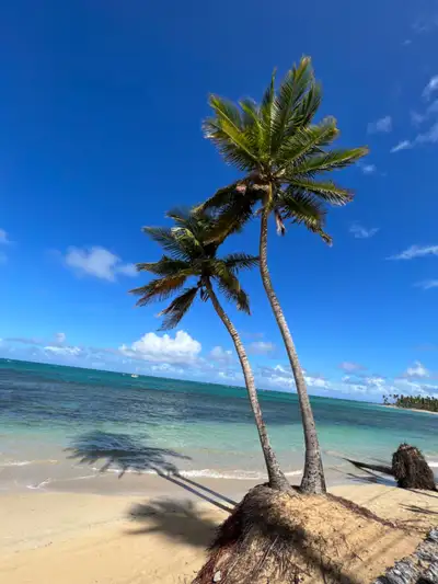 Monserrat II Luxury 1 Bedroom Apt, Las Terrenas $95 USD/night, View more