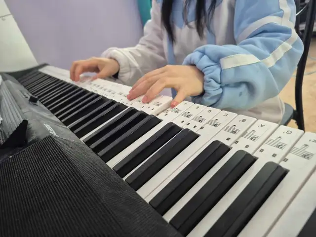 Beginner Piano Lessons420216508526120960