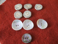 Abalone and Elk Bone Buttons